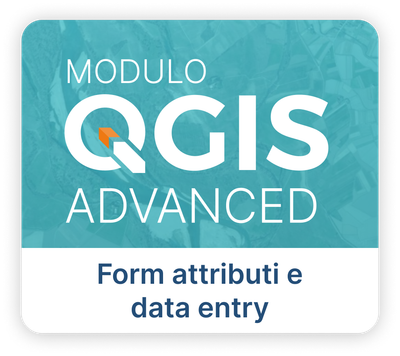 Form attributi e data entry