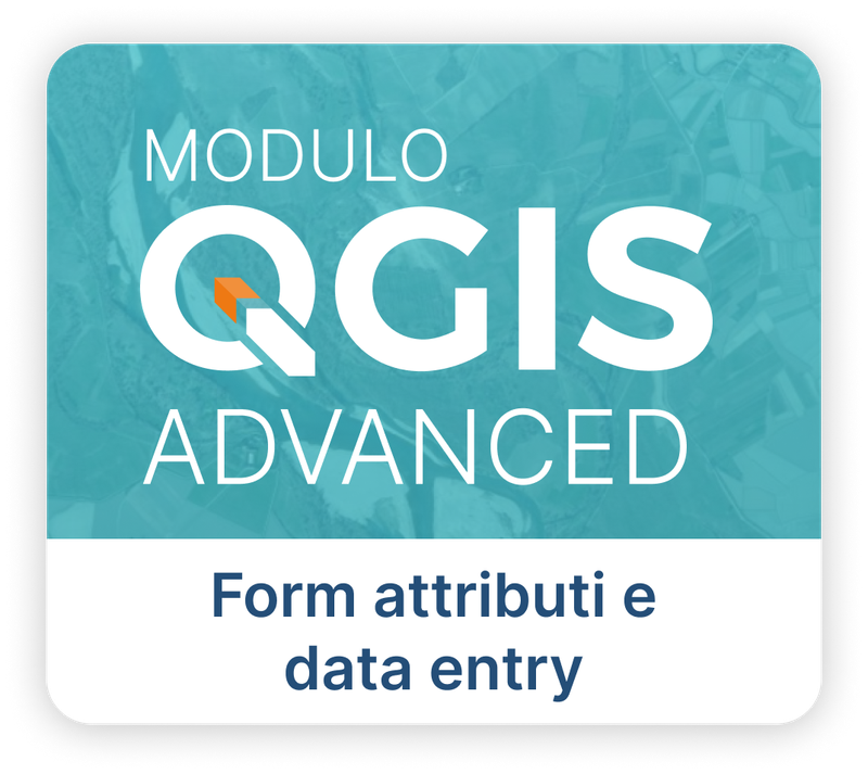 Form attributi e data entry