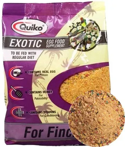 Quiko Exotic Finch