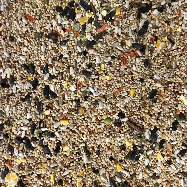 P&amp;C Cockatiel Blend - 10 lb