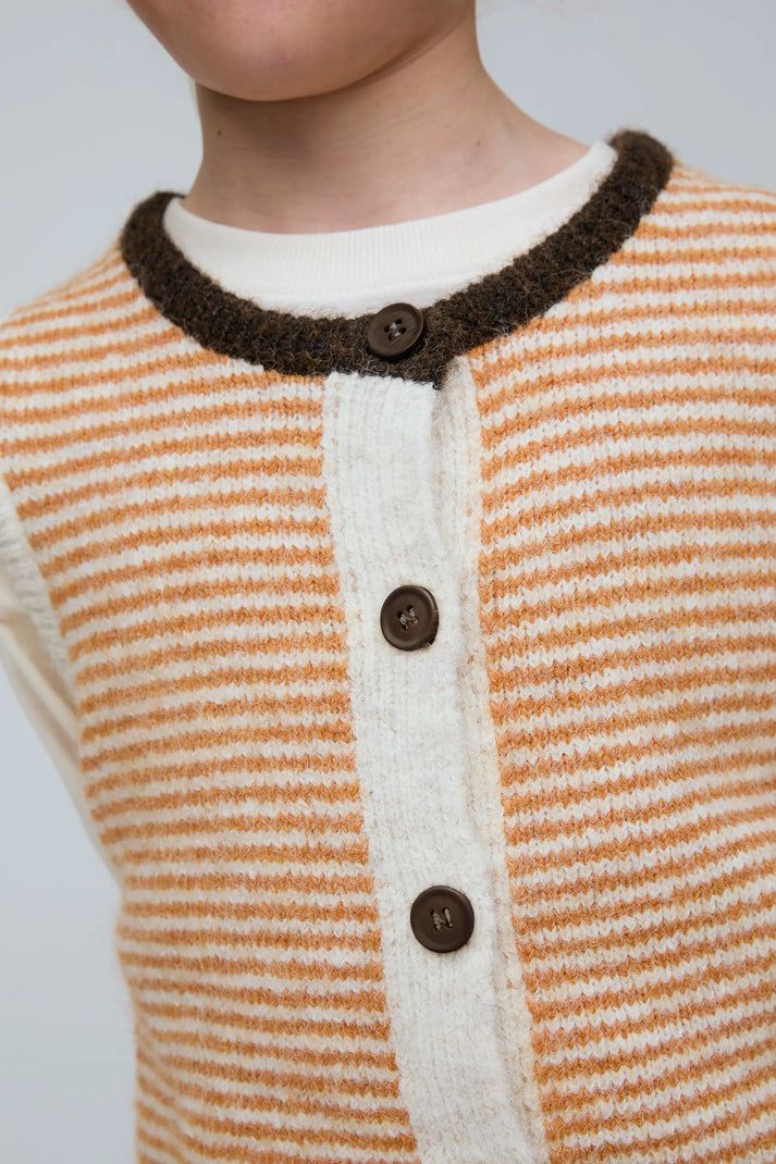 Spencer Stipe Orange