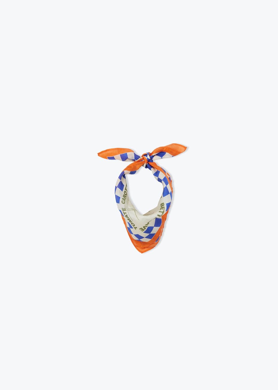Foulard Silk Blue