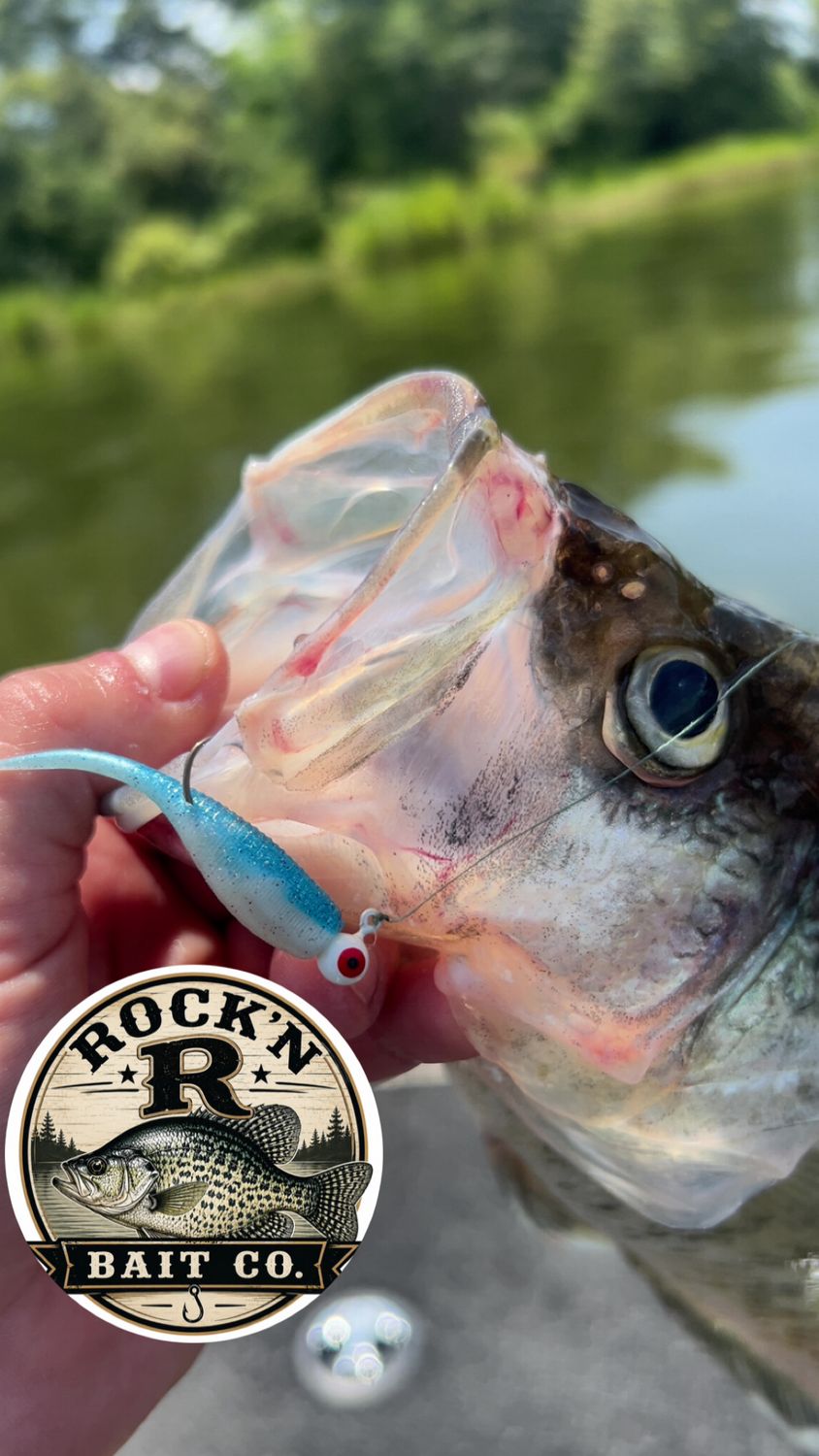 "Rock'n R" 2" Minnows (15 pack)