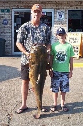 Catfish Photos
