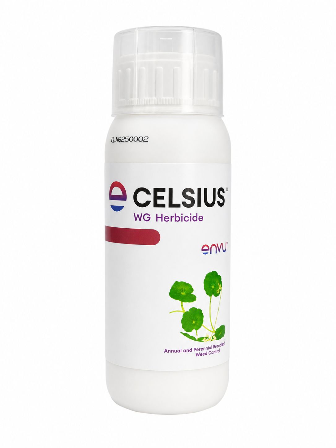 Celsius WG