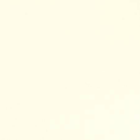 3 yd Cuddle Cuts Ivory Wide Shannon Fabrics Polyester