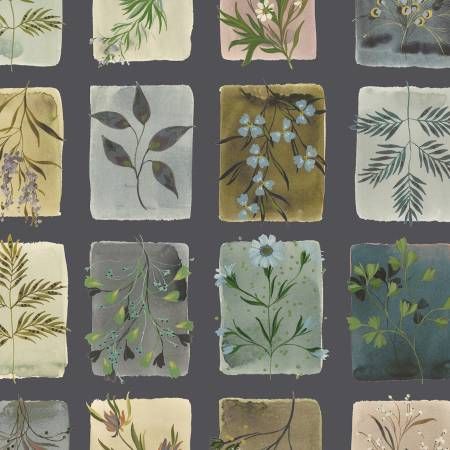 Bloomfield Indigo Tiny Botanicals Windham
