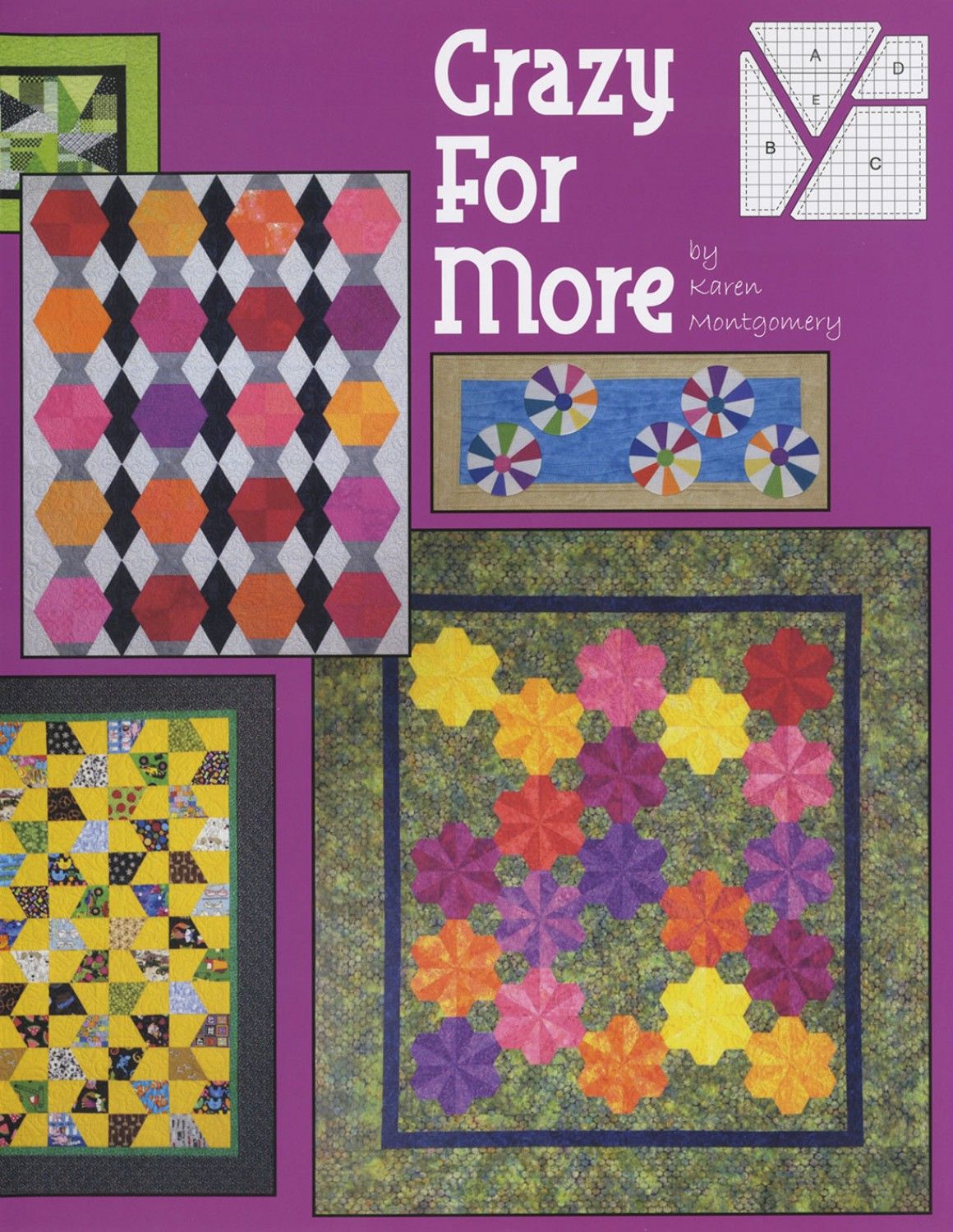 Book: Crazy For More by Karen Montgomery