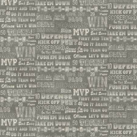 Cheer Em On Medium Gray Touchdown Benartex