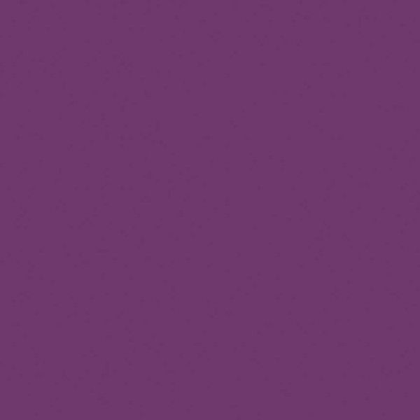 Confetti Cotton Eggplant Riley Blake