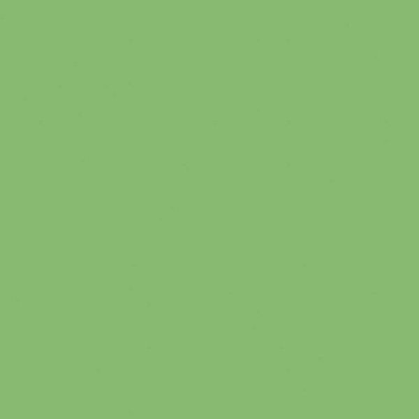 Confetti Cotton Green Smoothie Riley Blake