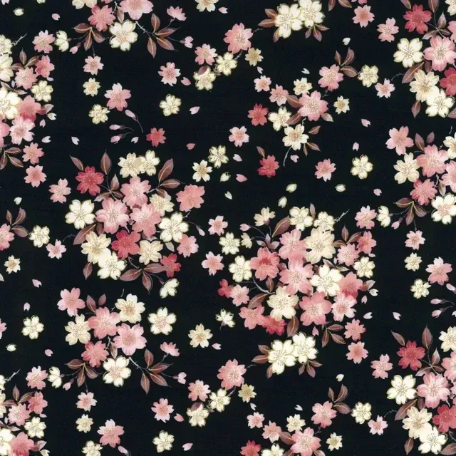 Cherry Blossom Blooms on Black Background