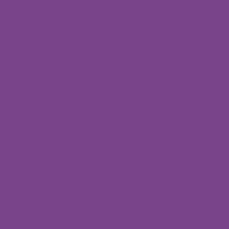 Confetti Cotton Purple Riley Blake