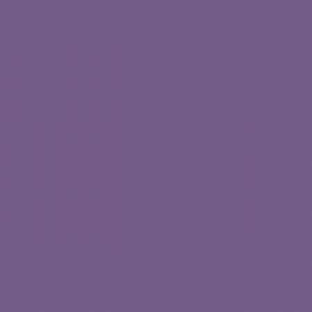 Confetti Cotton Plum Riley Blake