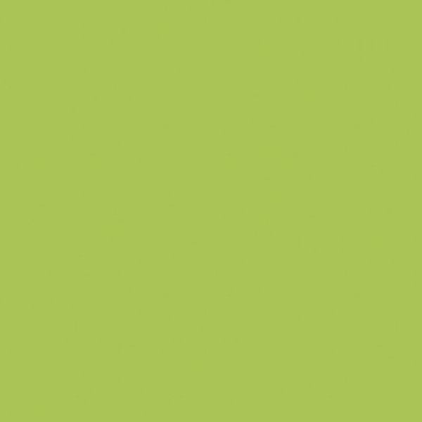 Confetti Cotton Riley Lime Riley Blake