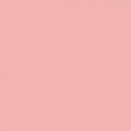 Confetti Cotton Prettyinpink Riley Blake