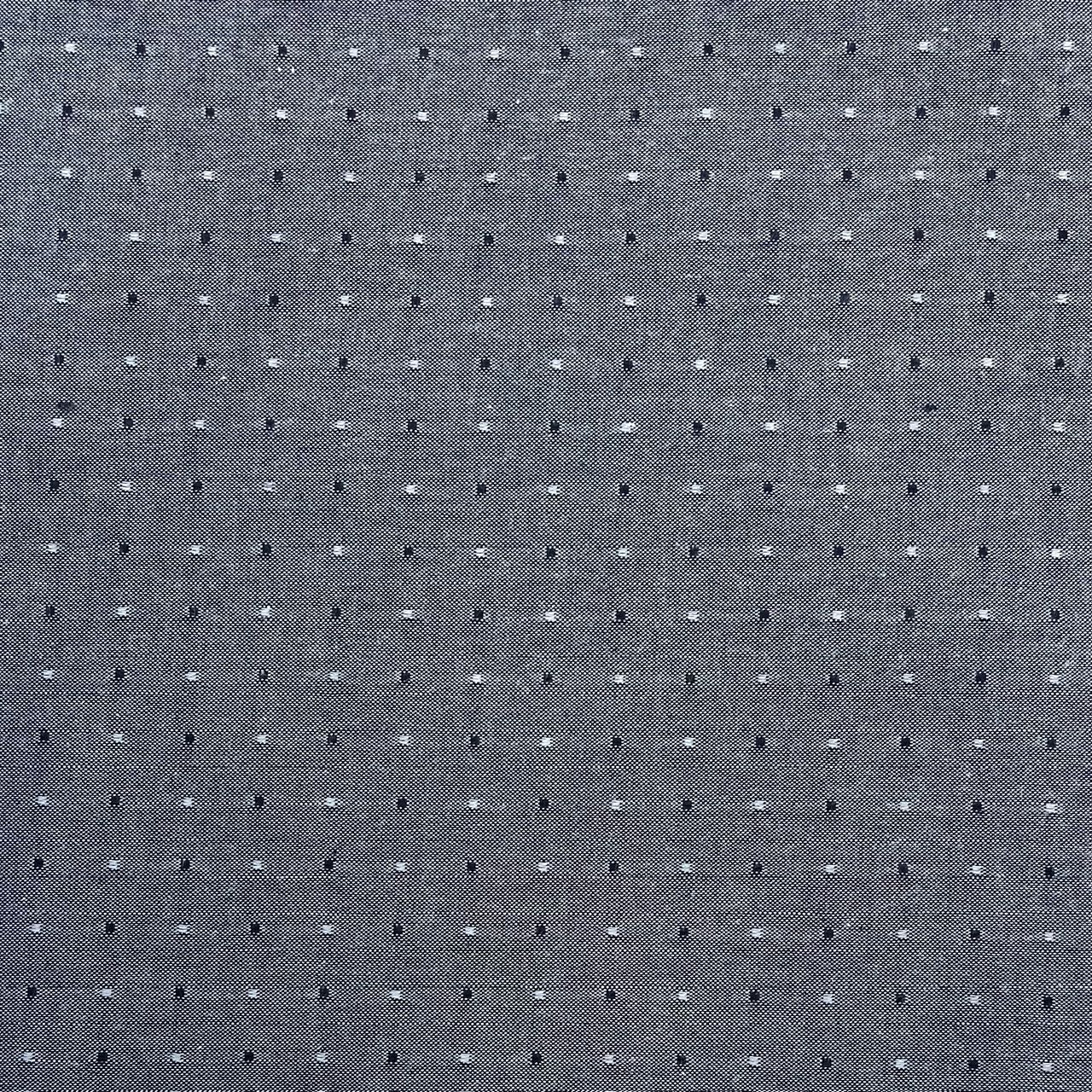 EB Italian Denim Swiss Dot Shirting