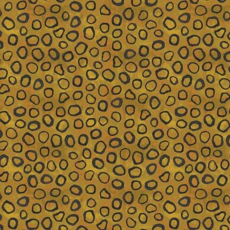 Marcia Derse Ocelot Gems Sketchpad 21 Windham