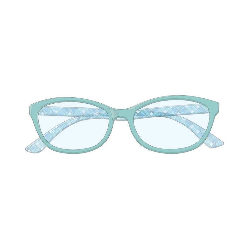Lori Holt Readers with soft case