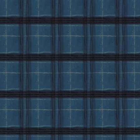 Marcia Derse The Plaid One Night Sky Window Pane Plaid