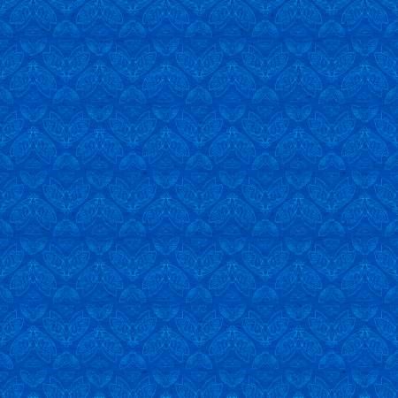 Moths Blue Nocturnal Creatures FS