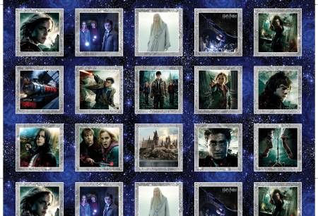 Panel: Wizarding Boxes Multi 24" Harry Potter Benartex