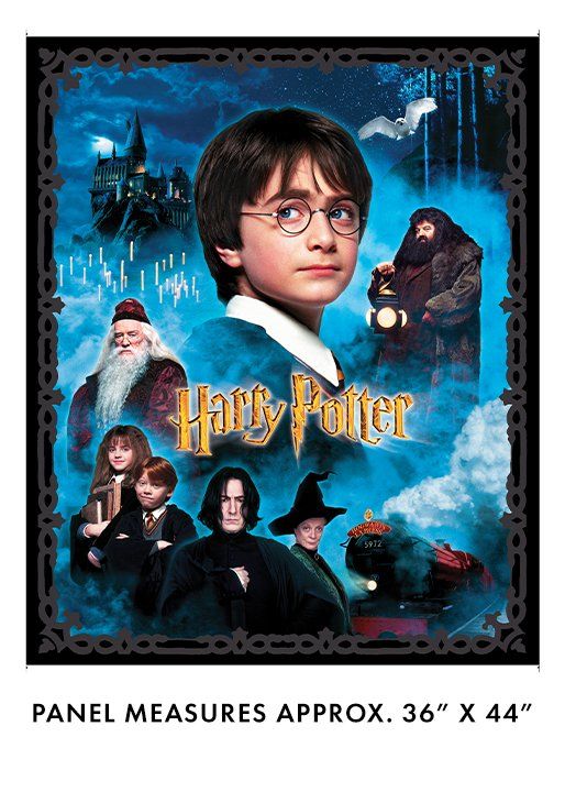Panel: Harry Potter Multi 36" Benartex
