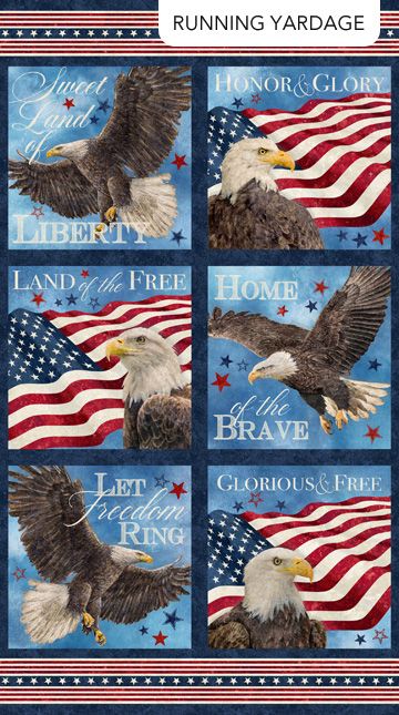 Panel: NC American Eagle Blocks Navy Multi 28"