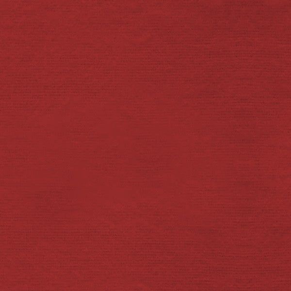 Red Double Brushed Flannel Paintbrush Studio