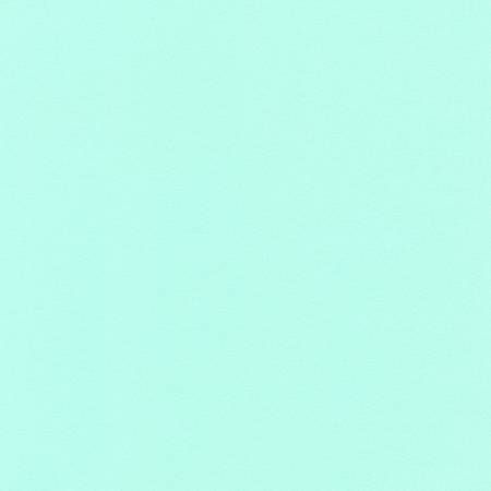 RK Flannel Solid Mint