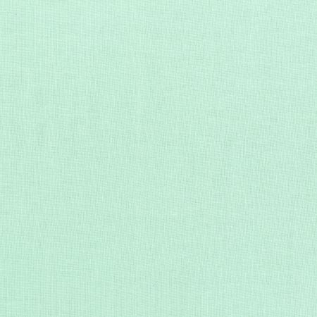 RJR CSS Seafoam 301