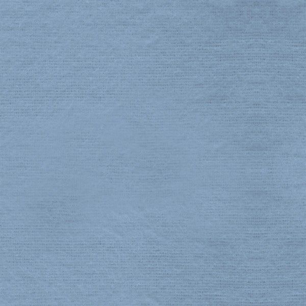 Sky Double Brushed Flannel Paintbrush Studio