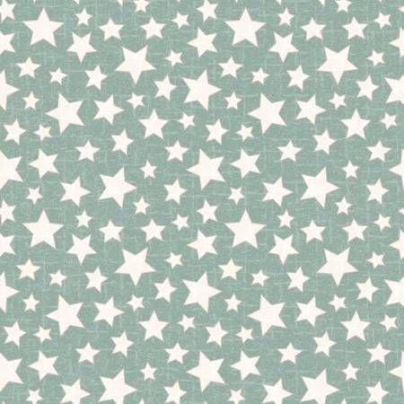 Snowtop Mountain Aqua Star Flannel Maywood Studio