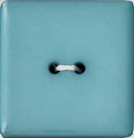 Square 2-Hole Polyamide Button Blue 1in