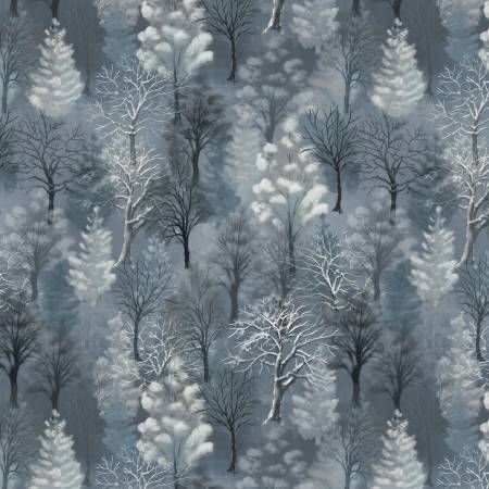 Winter Whisper Night Winter Woods Windham