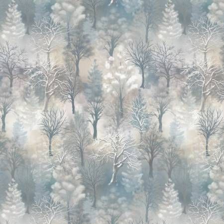 Winter Whisper Day Winter Woods Windham