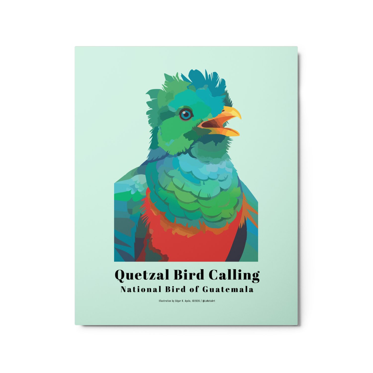 Premium Metal Floating Print. "Quetzal Bird Calling"