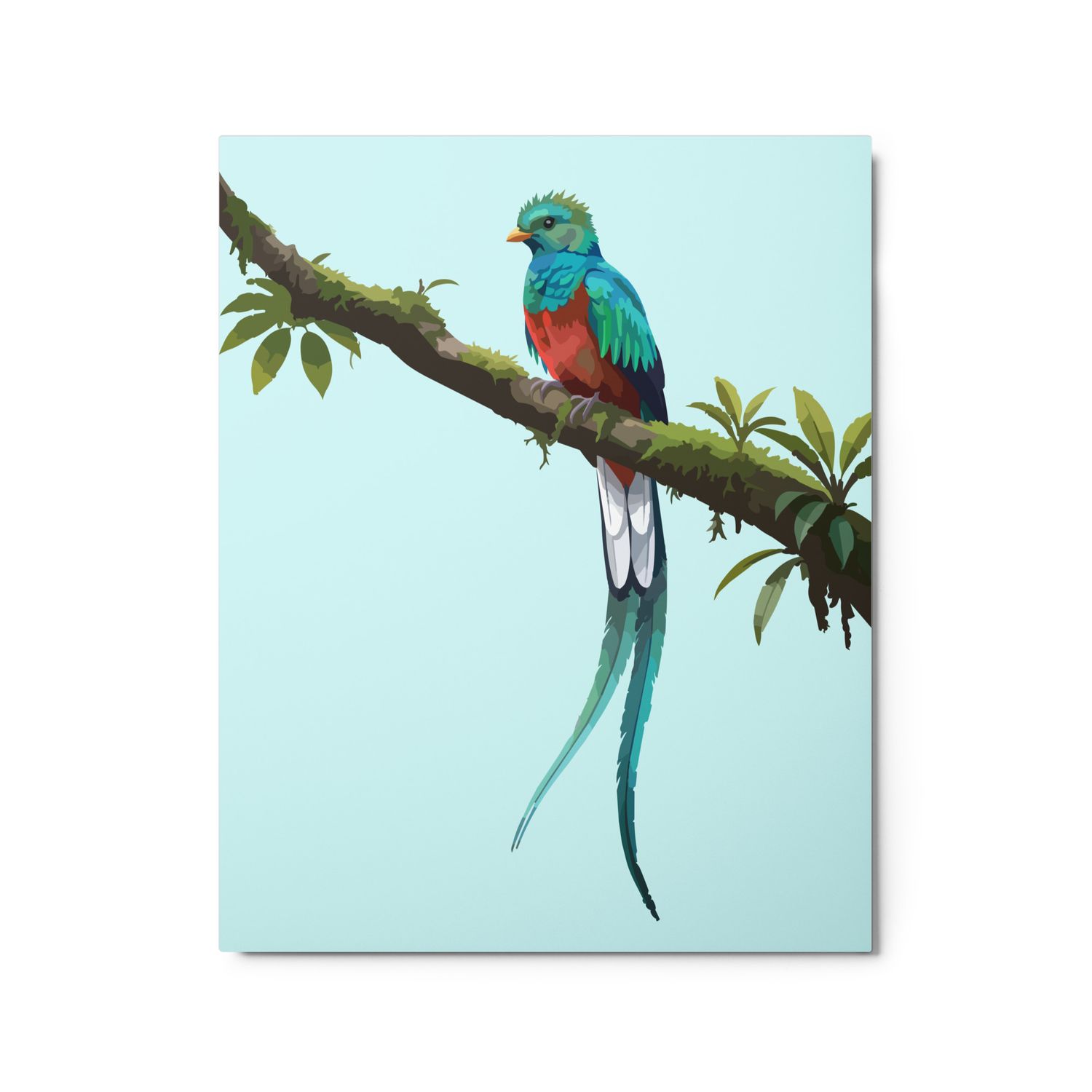 Premium Floating Metal Print. "Quetzal Bird Perching"
