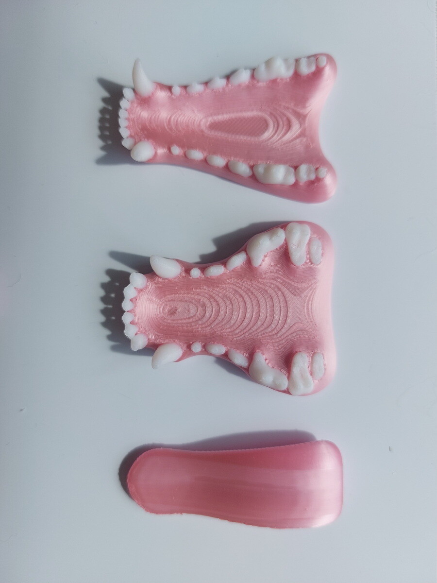 Taxidermy 3D printed Dog jaw with teeth and tongue replica