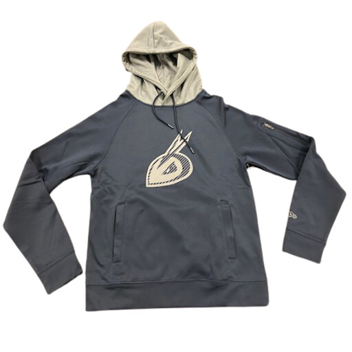 edmonton-stingers-alt-logo-hoodie
