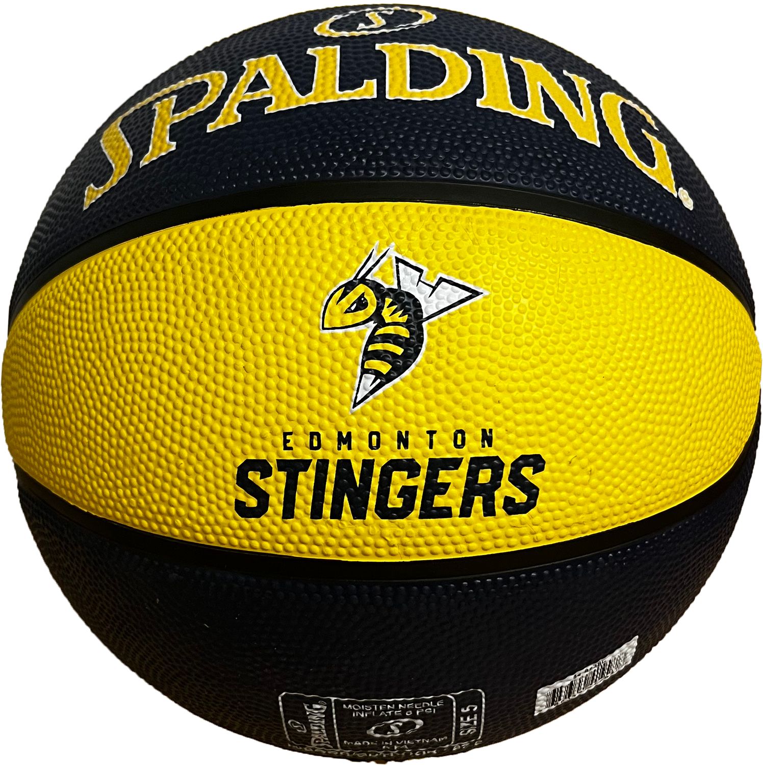 Custom Stingers Basketballs