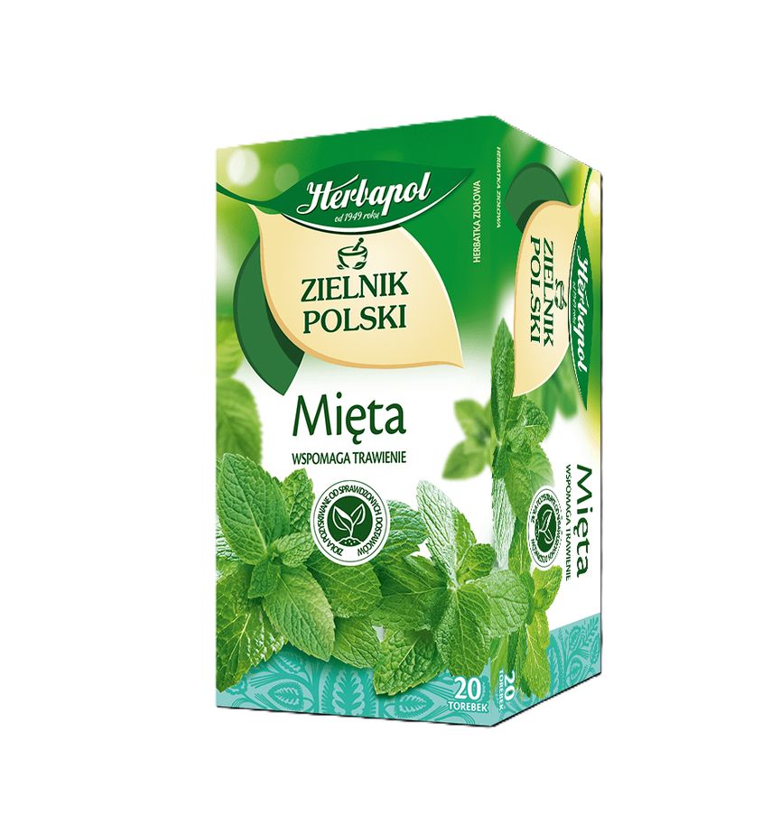Mint herbal tea