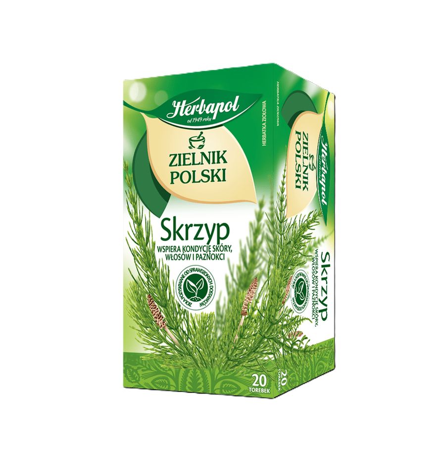Horsetail herbal tea
