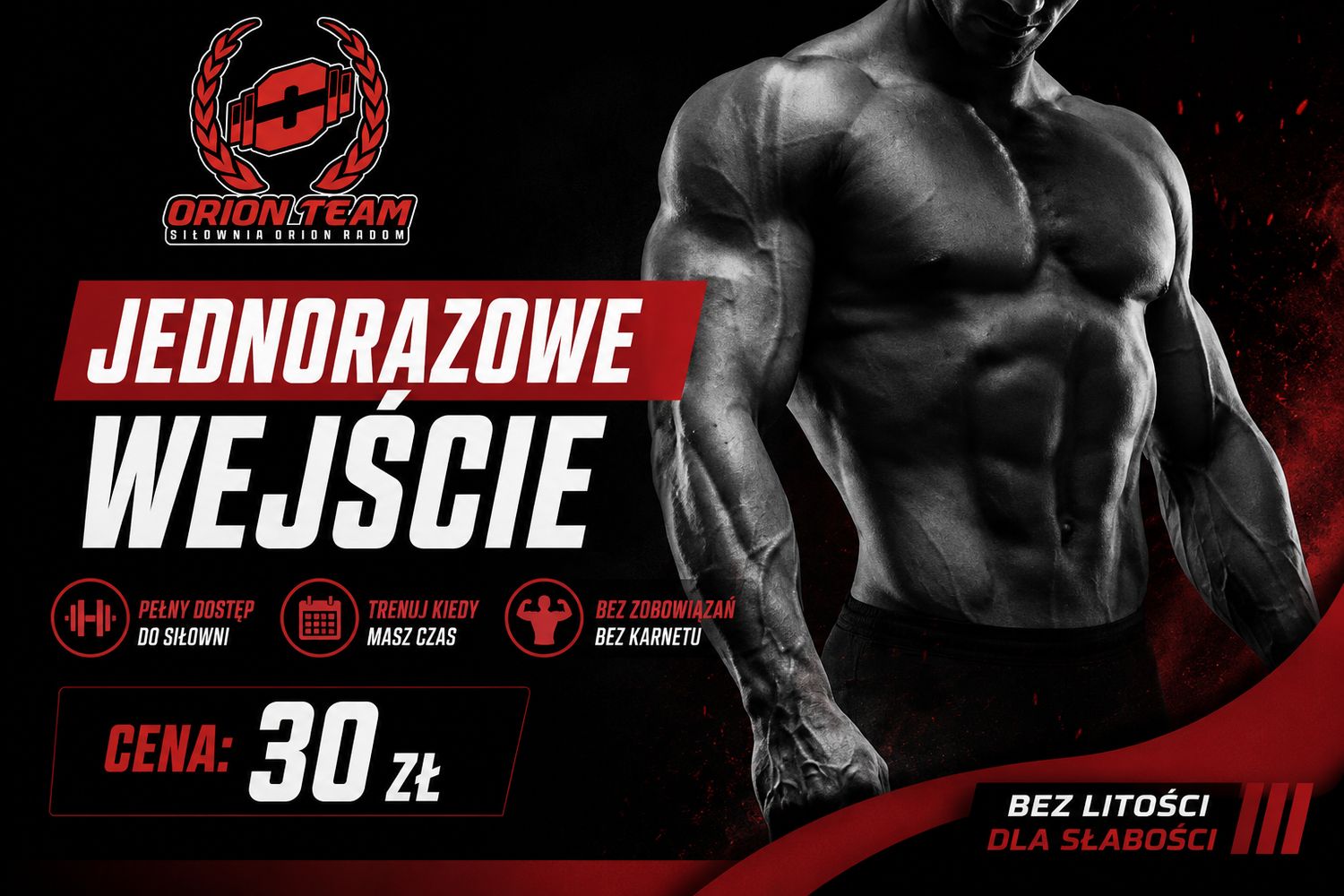 Jednorazowe wejście