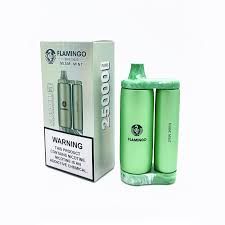 FLAMINGO SKB 25K MIAMI MINT