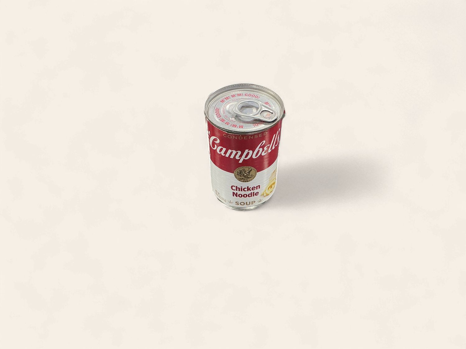 HIDDEN COMPAREMENT CAMPBELLS CHICKEN NOODLE SOUP