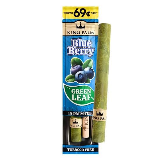KING PALM 1G PALM TUBE BLUEBERRY KING PALM 1G PALM TUBE BLUEBERRY
