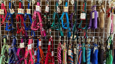 Equestrian Supply Store