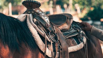 Used Equine Tack