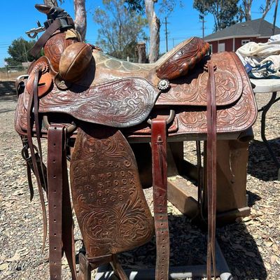 Equine Riding Gear
